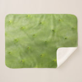 Tropisches botanisches grünes Kaktus-Foto Sherpadecke (Vorderseite (Horizontal))