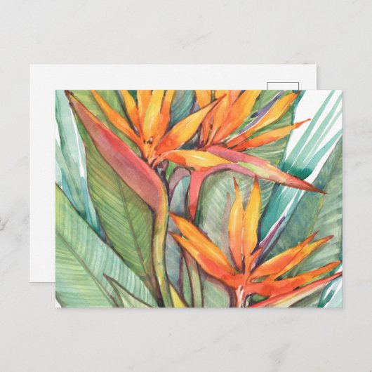 Tropisches botanisches Paradies II Postkarte (Vorne/Hinten)