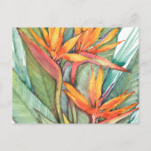 Tropisches botanisches Paradies II Postkarte (Vorderseite)