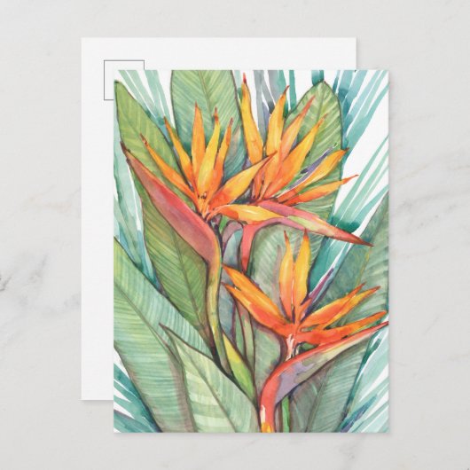Tropisches botanisches Paradies II Postkarte (Vorne/Hinten)