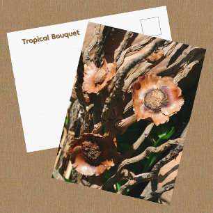Tropisches Bouquet Getrocknete Kokosnuss Botanisch Postkarte