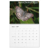 Tropisches Butteflies Kalender (Mär 2027)
