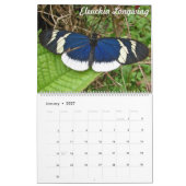 Tropisches Butteflies Kalender (Jan 2027)