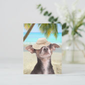 Tropisches Chihuahua im Urlaub Postkarte (Stehend Vorderseite)