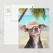 Tropisches Chihuahua im Urlaub Postkarte (Vorne/Hinten)