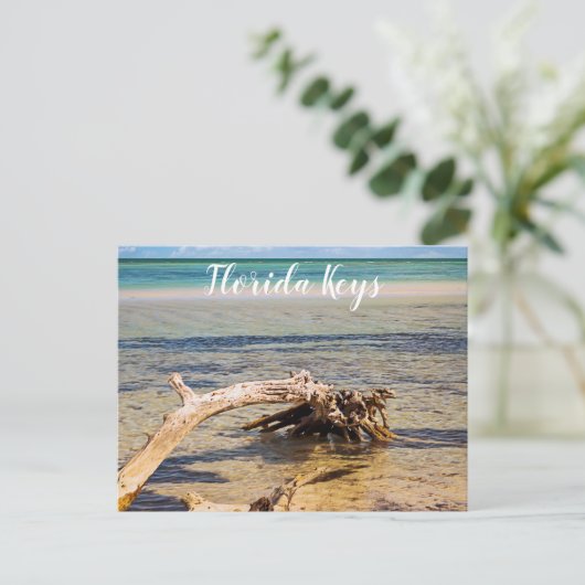Tropisches Driftwood Bahia Honda Beach Foto Postkarte (Stehend Vorderseite)
