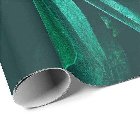 Tropisches Dschungelblättern, dunkelgrüne Blattnat Geschenkpapier (Rolleneckpunkt)