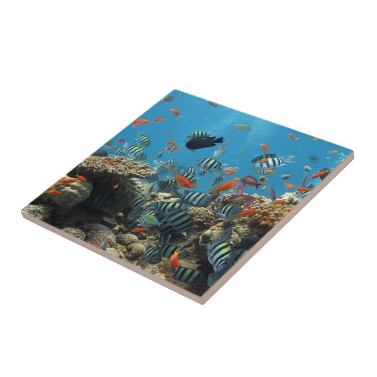 Tropisches Fisch-Chaos Fliese (Seite)
