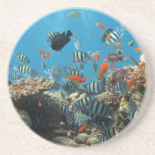 Tropisches Fisch-Chaos Getränkeuntersetzer (Vorne)