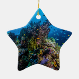 Tropisches Fisch-Great Barrier Reef Korallenmeer Keramik Ornament
