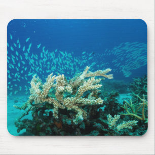 Tropisches Fisch-Great Barrier Reef Korallenmeer Mousepad