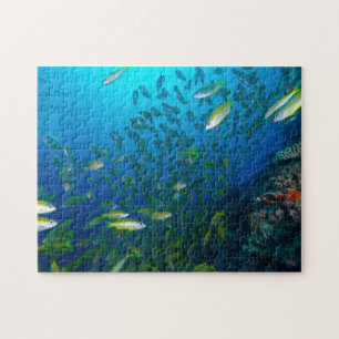 Tropisches Fisch-Great Barrier Reef Korallenmeer Puzzle