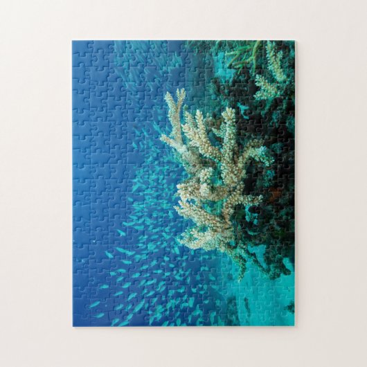 Tropisches Fisch-Great Barrier Reef Korallenmeer Puzzle (Vertikal)