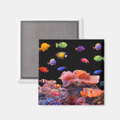 Tropisches Fischbild für Square-Magnet Magnet (Vorderseite/Rückseite)