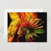 Tropisches Foto Postkarte (Vorne/Hinten)