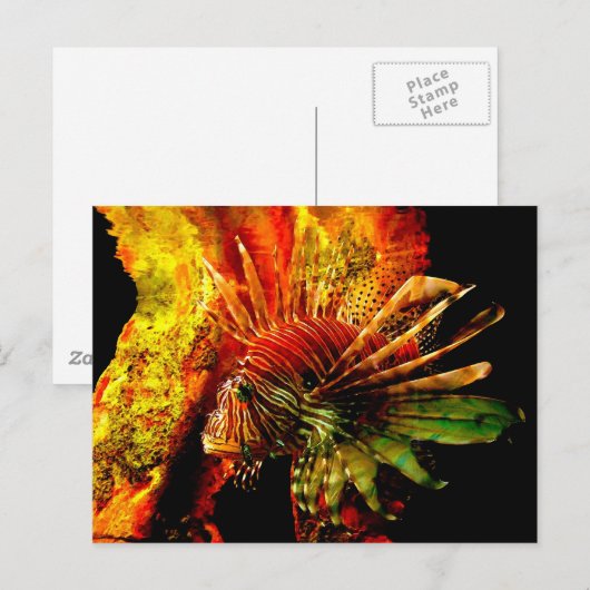 Tropisches Foto Postkarte (Vorne/Hinten)
