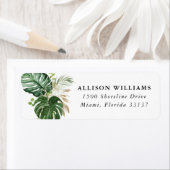 Tropisches Gold | Rücksendeadresse (Insitu)