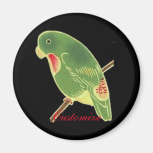 Tropisches grünes Parakeet Thunder_Cove Magnet