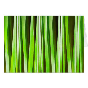 Tropisches grünes Riverweed