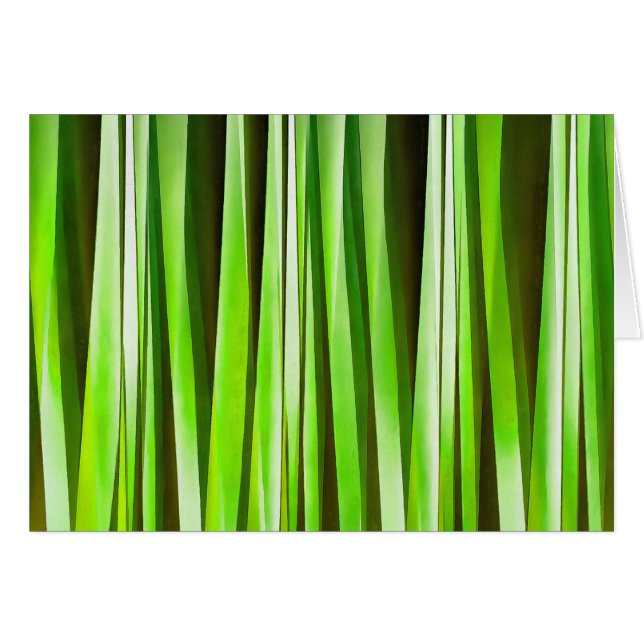 Tropisches grünes Riverweed (Vorderseite (Horizontal))