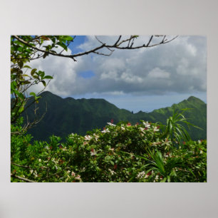 Tropisches Hawaii Poster