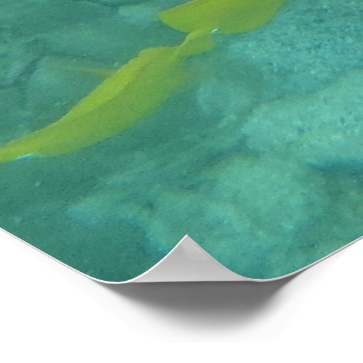 tropisches Hawaiianisches Poster (Ecke)