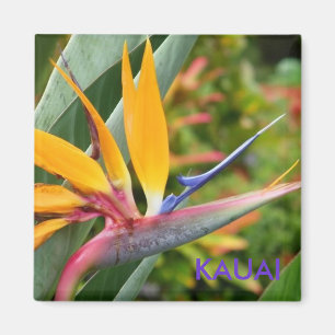 Tropisches hawaiisches Blumen Vogel-Von-Paradies Magnet