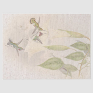 Tropisches Kolibri-Vögel Florales Seidenpapier