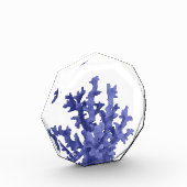 Tropisches Korallenriff Fotoblock (Links)