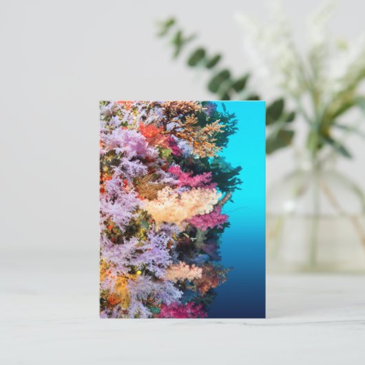 Tropisches Korallenriff Postkarte (Stehend Vorderseite)