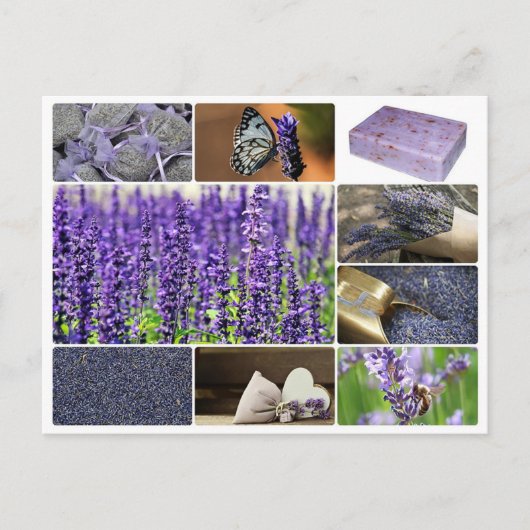 Tropisches Lavendel-Collage-Foto Postkarte (Vorderseite)