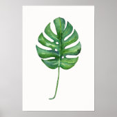 Tropisches Leaf-Poster (Monstera) Poster (Vorne)