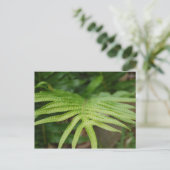 Tropisches Leaf Postkarte (Stehend Vorderseite)