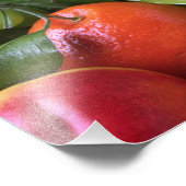 Tropisches Obst Fotodruck (Ecke)