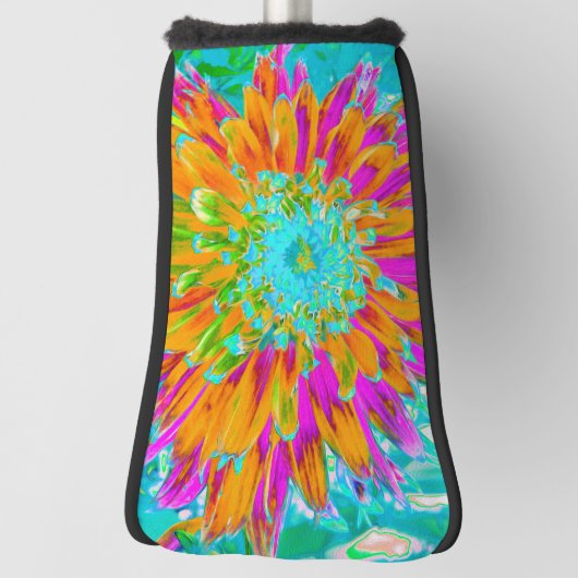 Tropisches Orange und heiß rosa Dekorative Dahlia Golf Headcover (Rotieren 90)