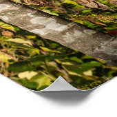 Tropisches Palm Frucht Insel Landschaftsposter Dru Poster (Ecke)