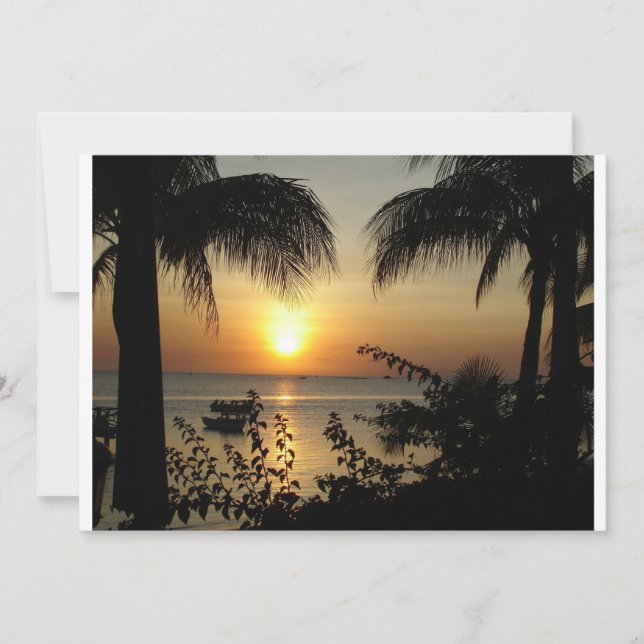 Tropisches Paradies (Vorderseite)