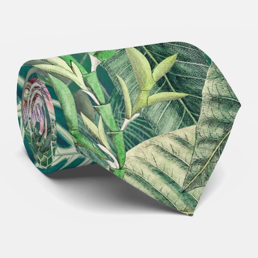Tropisches Paradies Krawatte (Gerollt)