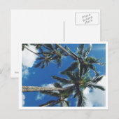 Tropisches Paradies Palmen Postkarte (Vorne/Hinten)