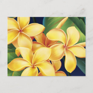 Tropisches Paradies Plumeria Postkarte