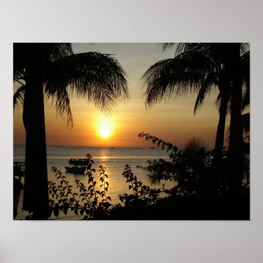 Tropisches Paradies Poster (Vorne)