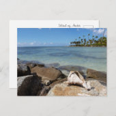 Tropisches Paradies Postkarte (Vorne/Hinten)