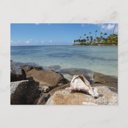 Tropisches Paradies Postkarte (Vorderseite)