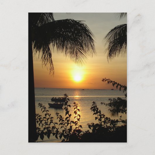 Tropisches Paradies Postkarte (Vorderseite)