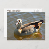 Tropisches Paradies Postkarte (Vorne/Hinten)