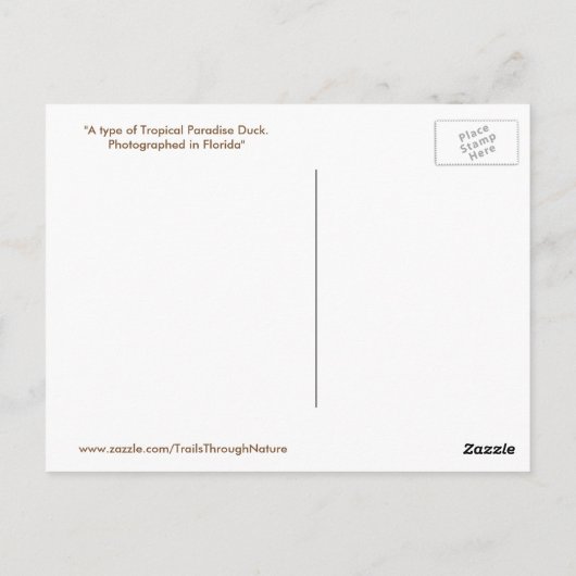 Tropisches Paradies Postkarte (Rückseite)