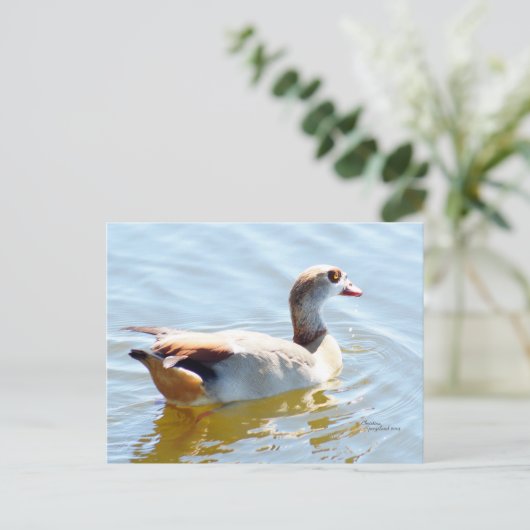 Tropisches Paradies Postkarte (Stehend Vorderseite)