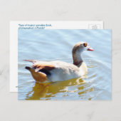 Tropisches Paradies Postkarte (Vorne/Hinten)