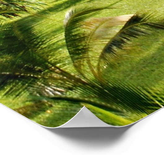 Tropisches Paradies Sansibar Poster (Ecke)