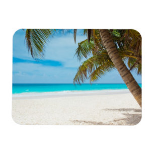 Tropisches Paradies Strand Magnet